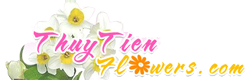 Hoa Đất Sét TP.HCM